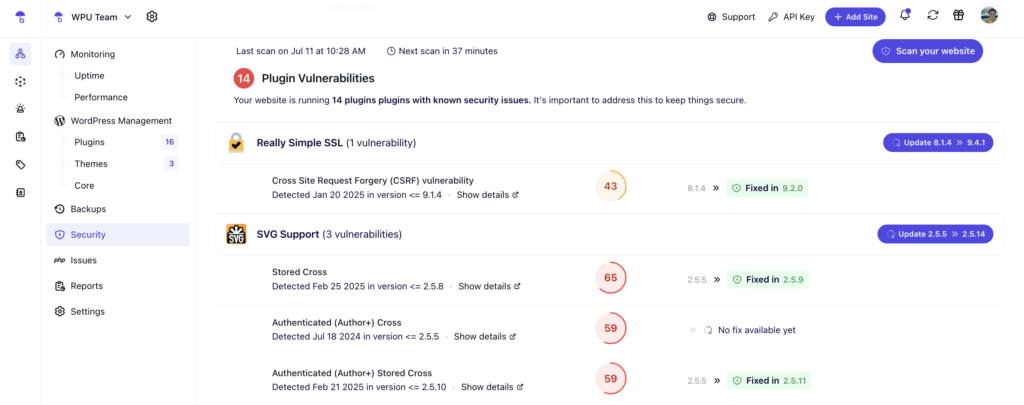 Plugin vulnerabilities 